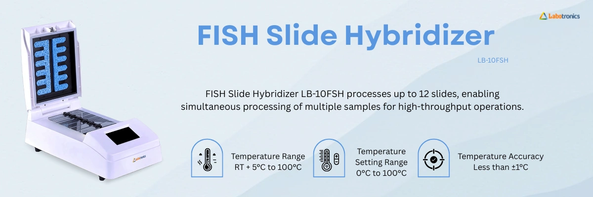 FISH Slide Hybridizer LB-10FSH Banner