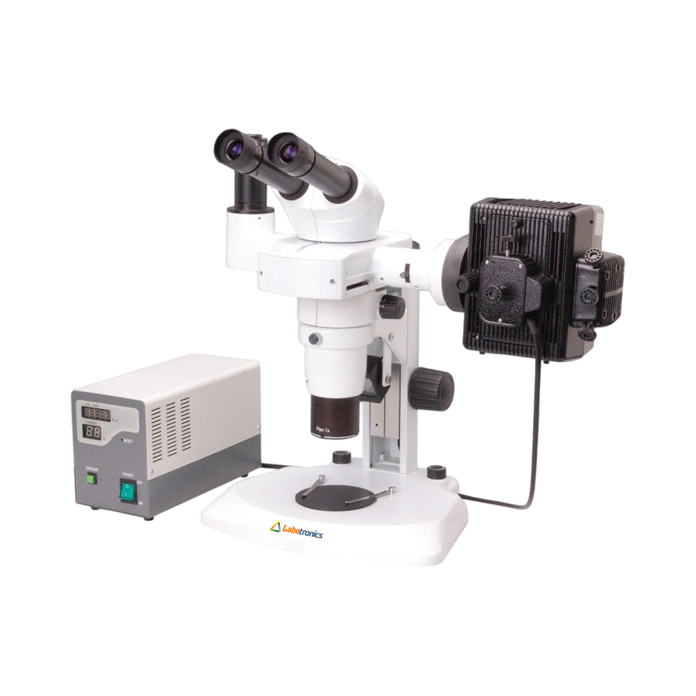 Fluorescent Stereo Microscope LB-12FSM