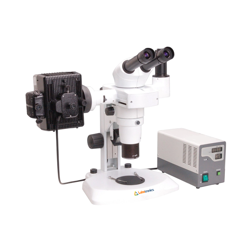 Fluorescent Stereo Microscope LB-12FSM